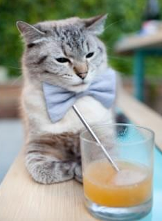 国卡超级联赛：各队竞争激烈，精彩不断，国卡是什么意思