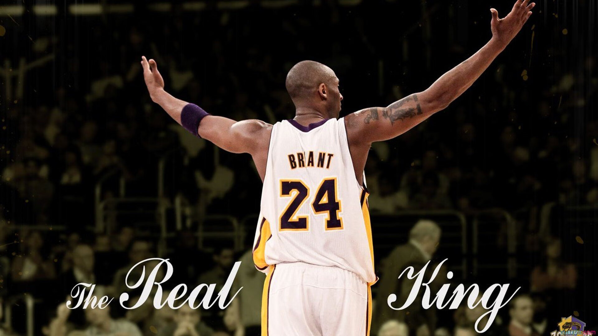 篮网组织球迷开放日场面火爆，篮网开幕式